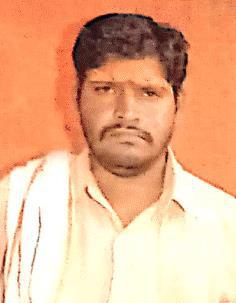 Vallabh Vinayak Puranik